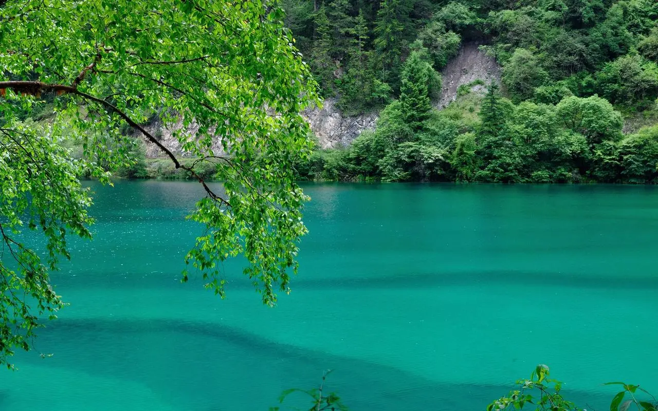 高效节能高性能